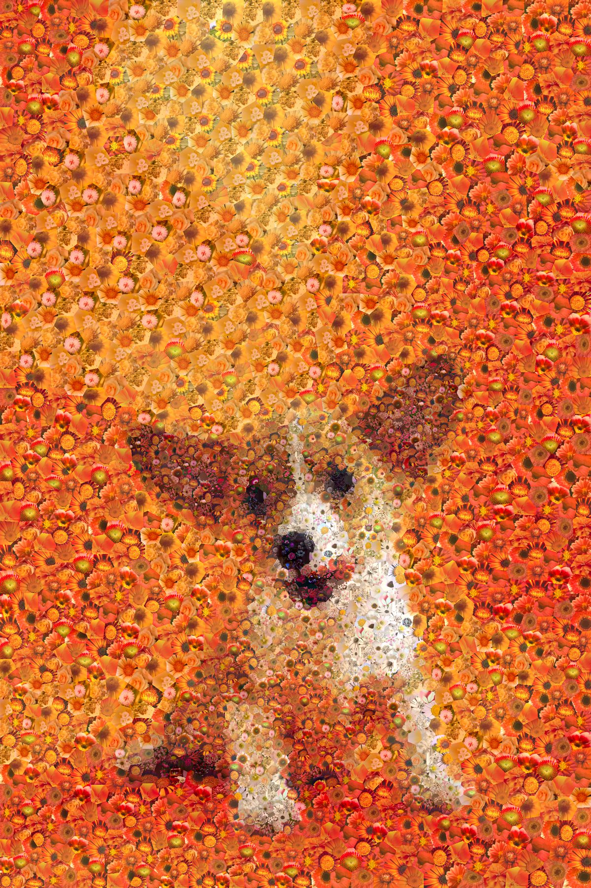 Pet memorial photo mosaic of a dog, composed of hundreds of flower photographs